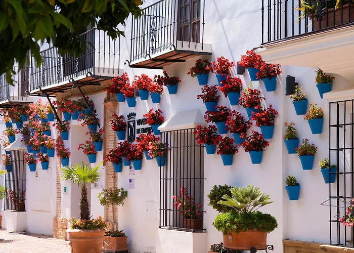 Paraiso Del Mar Parking Y Piscina 454 Appartement