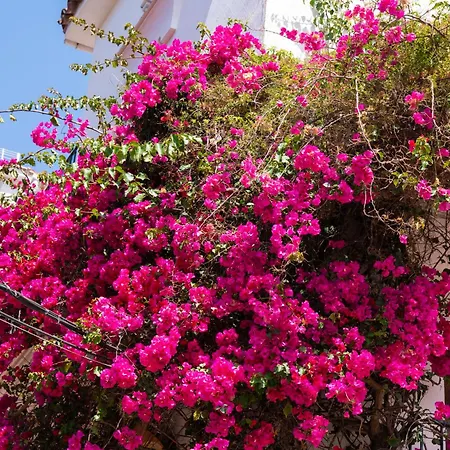 Apartament Paraiso Del Mar Parking Y Piscina 454 Marbella