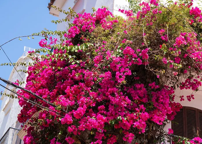 Apartment Paraiso Del Mar Parking Y Piscina 454 Marbella